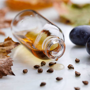  Grape seed oil exporters Noida, India