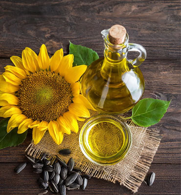High-quality sunflower oil Noida