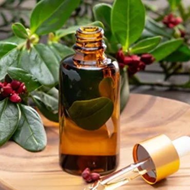 Best Wintergreen oil exporters Noida